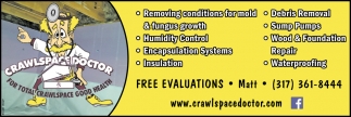 Removing Conditions for Mold & Fungus Growth