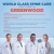 World Class Spine Care