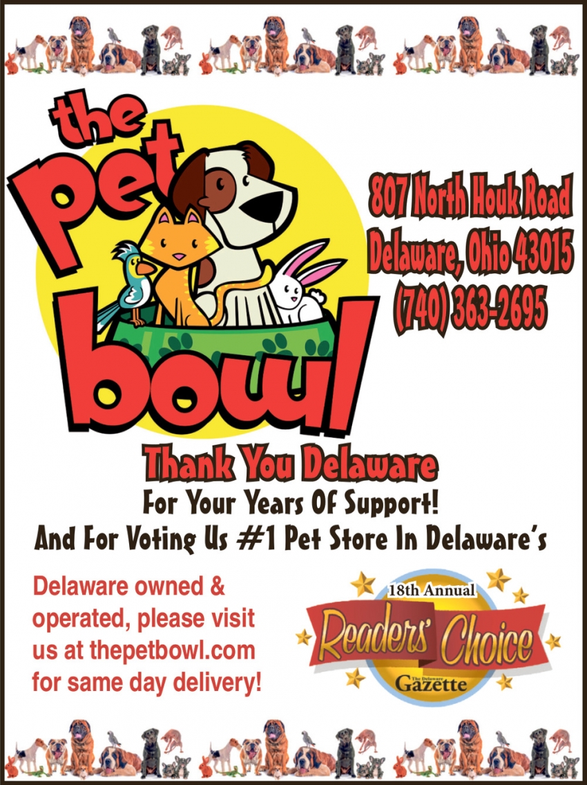 The Pet Bowl