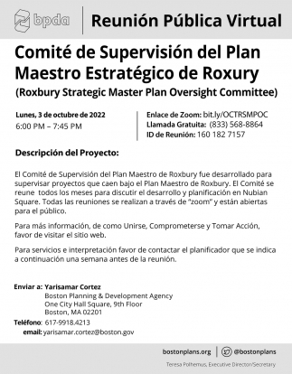 Comité de Supervisión del Plan Maestro Estratégico de Roxury