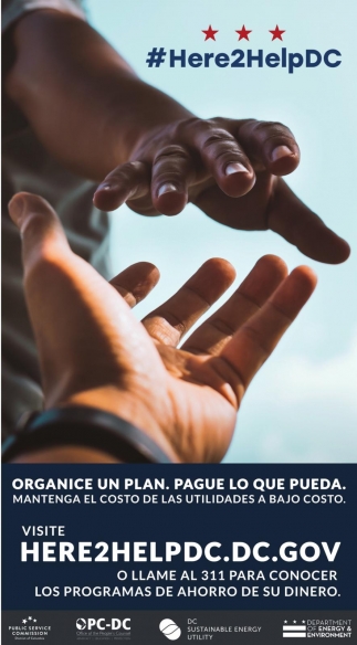 Organice Un Plan
