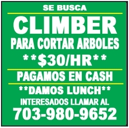Climber 