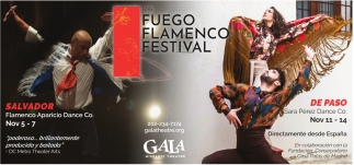 Fuego Flamenco Festival