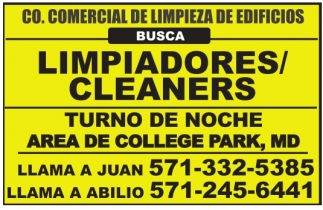 Limpiadores/Cleaners