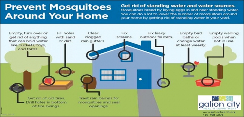 Prevent Mosquitoes Around Your Home