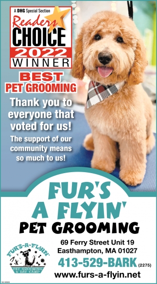 Pet Grooming