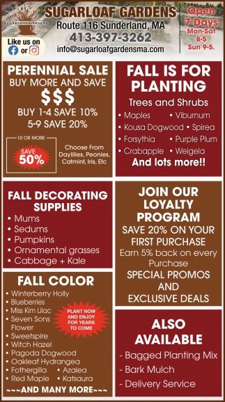 Fall Is For Planting