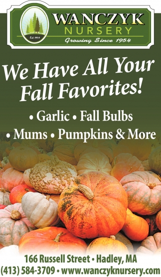 We Have All Your Fall Favorites