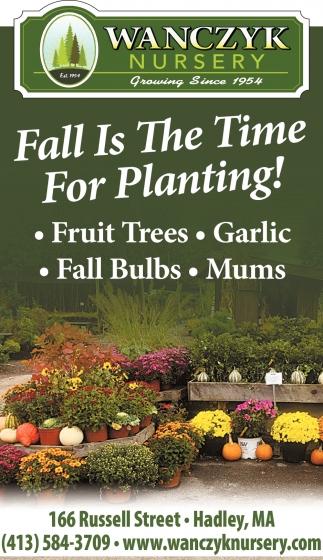 Fall is The Time For Planting