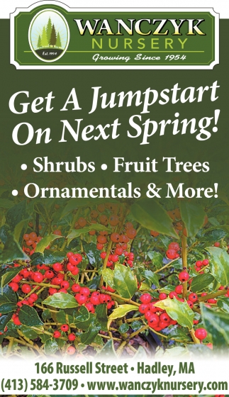 Get a Jumpstart On Next Spring!