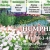Garden Design and Landscape