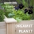 Start Your Dream Garden At Gardener's Supply