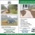 Landscape Construction