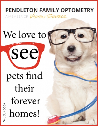 We love To See Pets Find Their Forever Homes!
