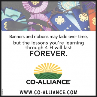 Banners And Ribbons May Fade Over Time.