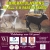 Congratulations to All 4-H Participants!
