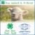 You Nailed It, 4-Hers!