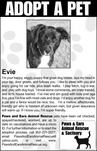 Adopt a Pet, Paws & Ears Animal Rescue & Sanctuary