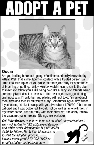 Adopt a Pet, Cat Tales Rescue, Vacaville, CA