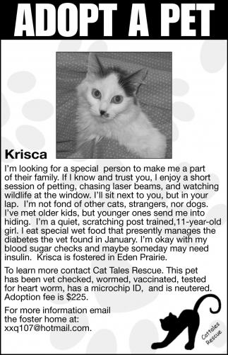 Adopt a Pet, Cat Tales Rescue, Vacaville, CA