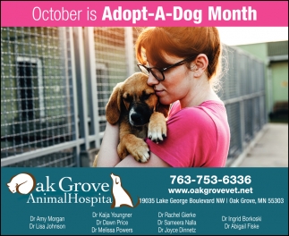 October Is Adopt-A-Dog Month, Oak Grove Animal Hospital, Anoka, MN