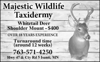 Majestic Mounts Taxidermy