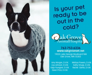 Is Your Pet Ready To Be Out In The Cold