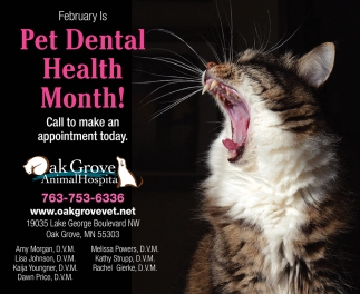 Pet Dental Health Month!