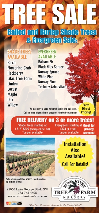 FREE Delivery On 3 or More Trees!