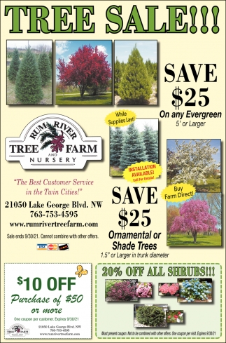 Tree Sale!