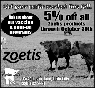 Get Your Cattle Worked This Fall