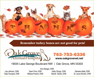 Remember Turkey Bones Are Not Good For Pets!