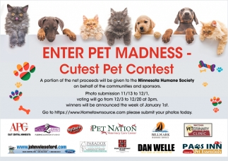 Enter Pet Madness