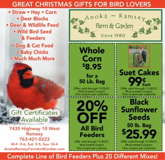 Great Christmas Gifts For Bird Lovers