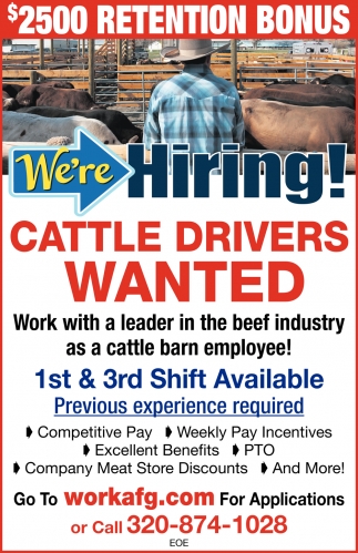 Cattle Drivers Wanted