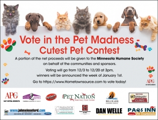 Vote In The Pet Madness Cutest Pet Contest