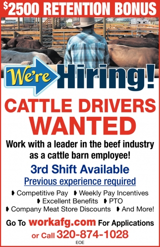 Cattle Drivers Wanted