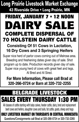 Dairy Sale