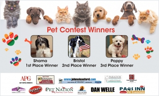 Pet Contest Winners