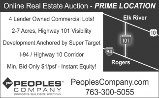 Online Real Estate Auction