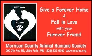 Give a Forever Home