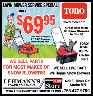 Lawn Mower Service Special