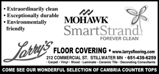 The Most Durable, Easiest to Clean Carpet On the Planet