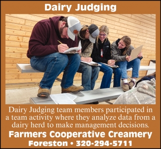 Dairy Judging