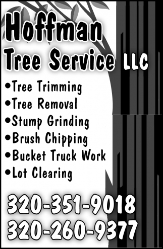 Tree Trimming, Tree Removal, Stump Grinding, Brush Chipping