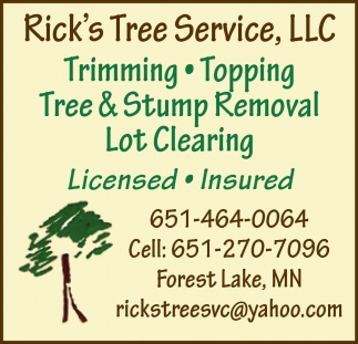 Tree & Stump Removal Lot Clearing