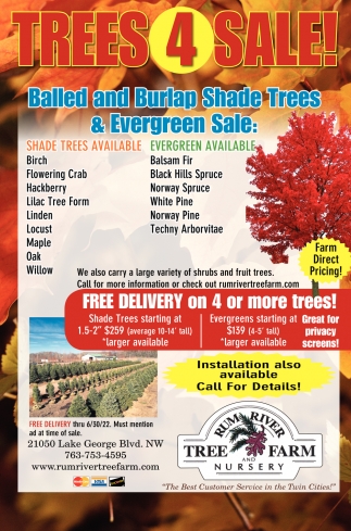 Free Delivery on 4 or more trees