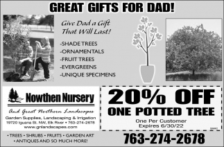 Great Gifts for Dad!