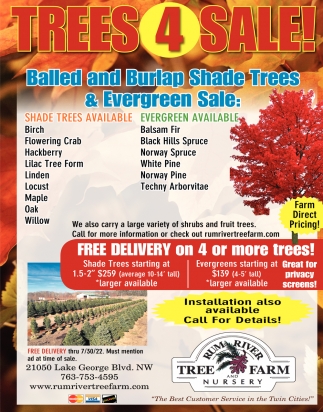 Trees 4 Sale!