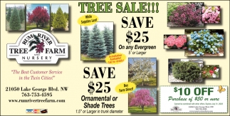 Trees Sale!!!